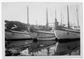Skøyter, fra Ø.Antonsen. far NSSR.jpg